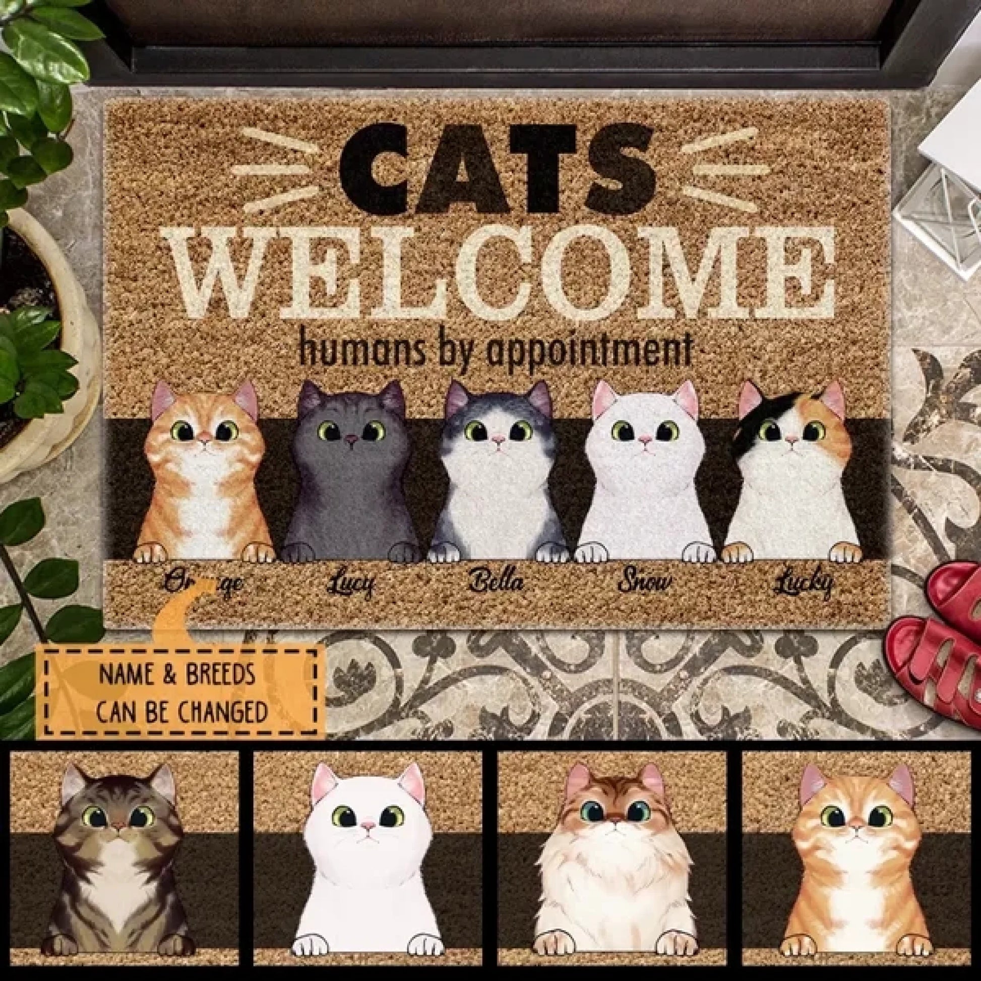 610e897def74f_large