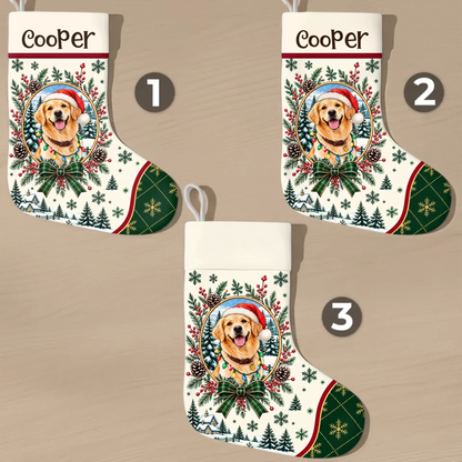 260919_0wIai4kOrozDZdy8_large